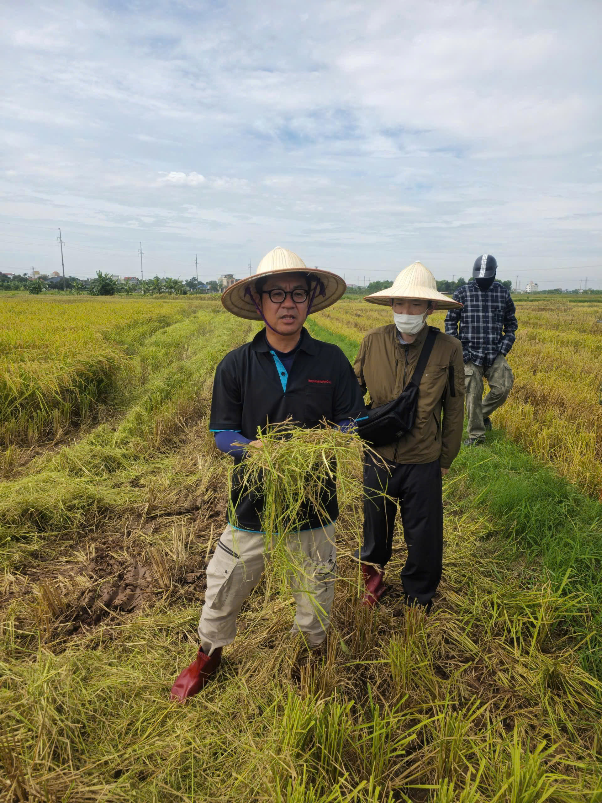 Triển khai dự án nông nghiệp